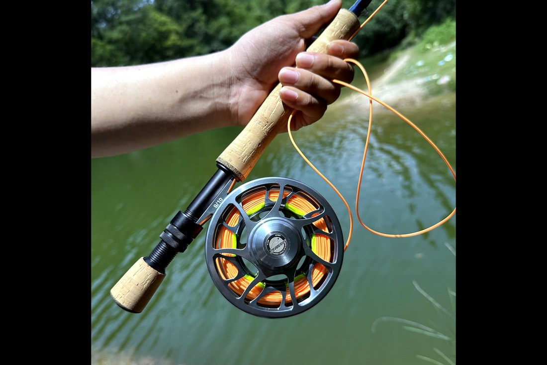 FR10 vs FR11: Which Reel for Bass & Light Salt?